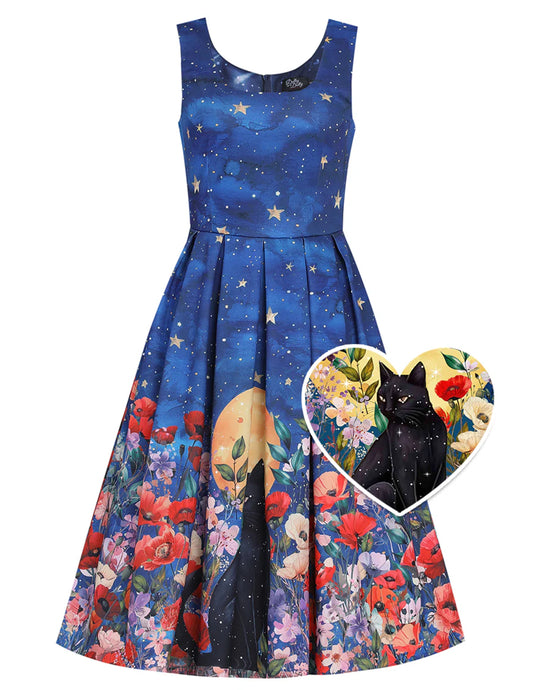 Black Cat Midnight Amanda Kleid