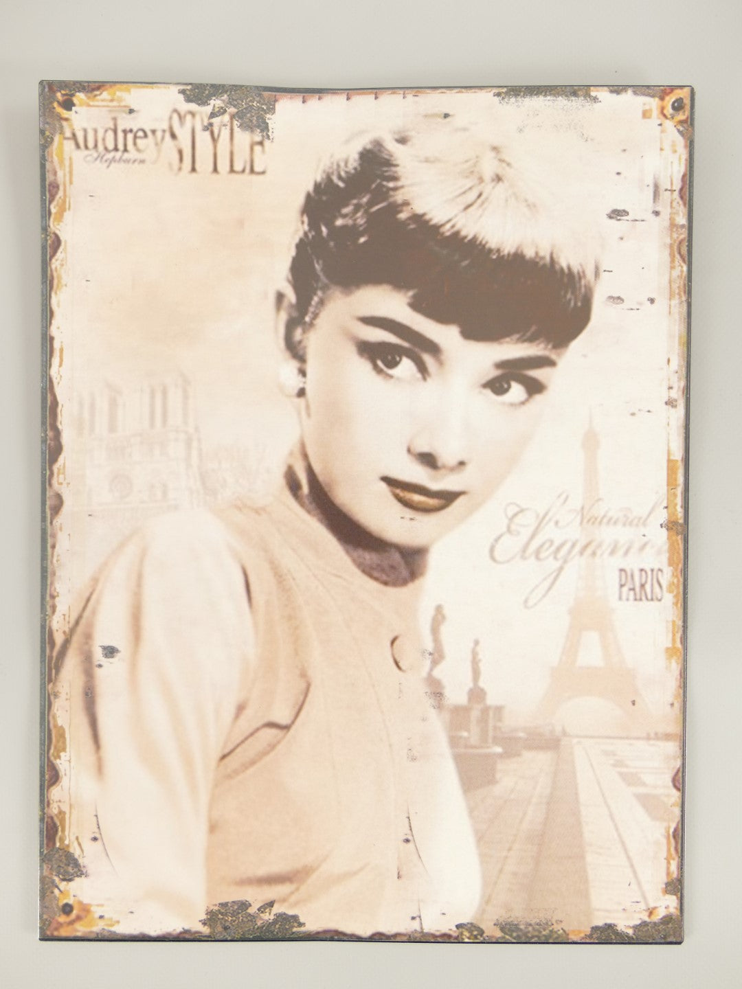 Blechschild Audrey Style