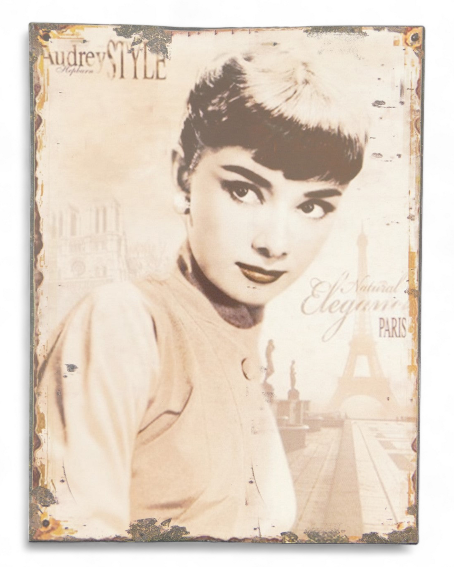 Blechschild Audrey Style