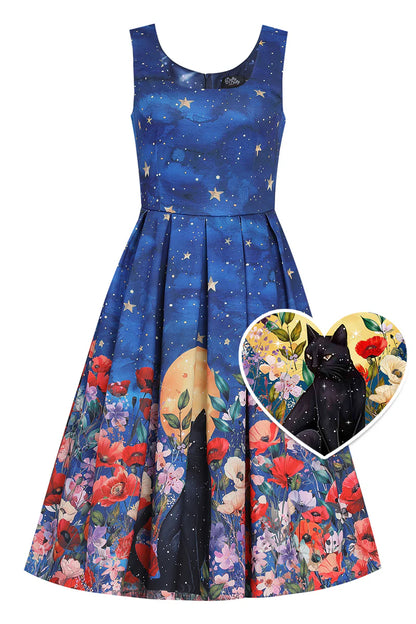 Black Cat Midnight Amanda Kleid