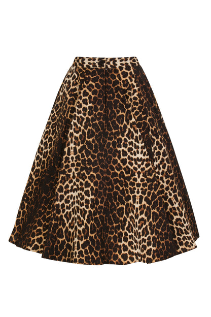Panthera Leo Rock
