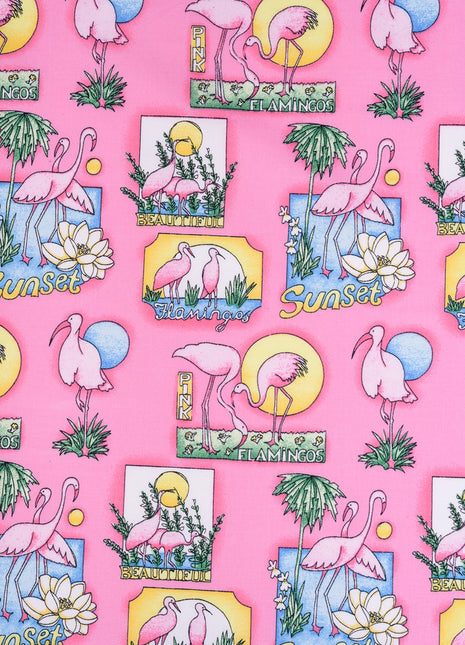 Flamingo Maxime Rock