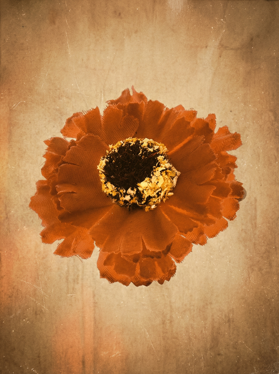 Vintage Daisy Haarklammer